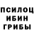 Галлюциногенные грибы GOLDEN TEACHER Brian Boychuk