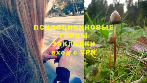 амф Армянск