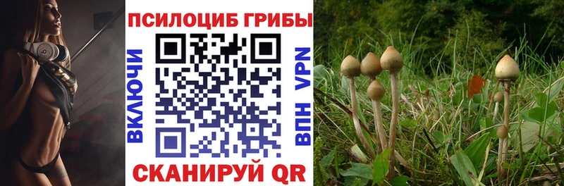Галлюциногенные грибы мухоморы  где продают   Тюкалинск 